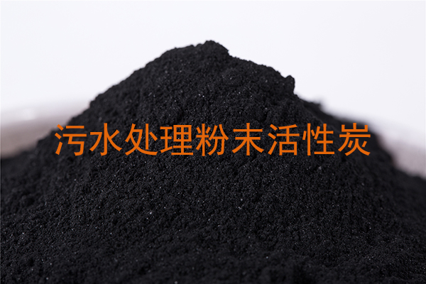 广东某药厂污水深度处理用煤质粉末活性炭项目