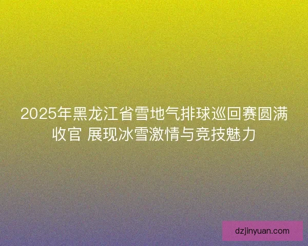 2025年黑龙江省雪地气排球巡回赛圆满收官 展现冰雪激情与竞技魅力