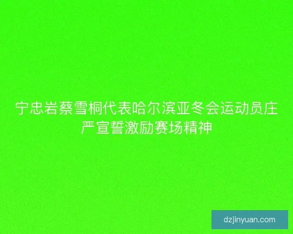宁忠岩蔡雪桐代表哈尔滨亚冬会运动员庄严宣誓激励赛场精神